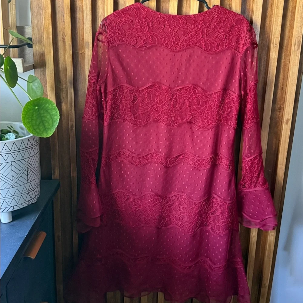 Sachin and Babi Lace Detail Ruffle hem Mini Dress. 4 - Picture 4 of 11